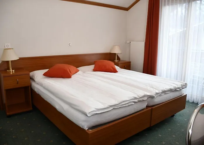 Elite ホテル ツェルマット